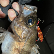 Fish.IN | Outdoor / Fishing / Something