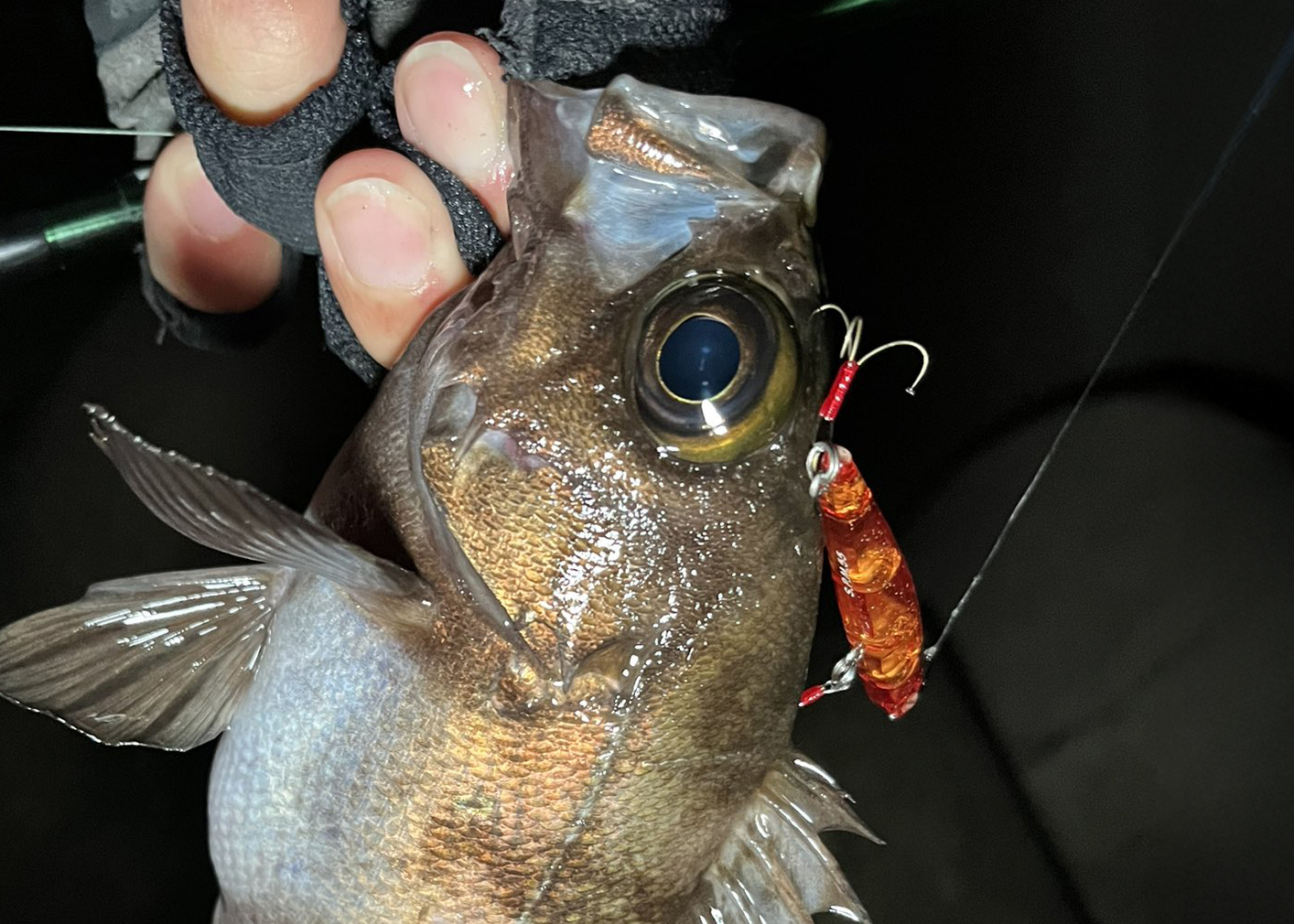 真鍮製フィッシングベル 2008年製　　1つのみ　長畑製作所製 真鍮製フィッシングベル 2008年製 1つのみ 長畑製作所製 真鍮製